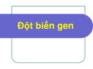 Bài giảng Sinh học phân tử: Đột biến gen - ThS. Nguyễn Thanh Tố Nhi