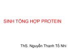 Bài giảng Sinh học phân tử: Sinh tổng hợp protein - ThS. Nguyễn Thanh Tố Nhi