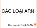 Bài giảng Sinh học phân tử: Các loại ARN - ThS. Nguyễn Thanh Tố Nhi