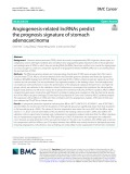 Angiogenesis-related lncRNAs predict the prognosis signature of stomach adenocarcinoma