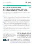 Extracellular vesicles mediated proinflammatory macrophage phenotype induced by radiotherapy in cervical cancer