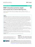 MMP12 knockout prevents weight and muscle loss in tumor-bearing mice