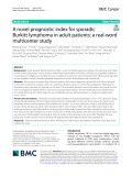 A novel prognostic index for sporadic Burkitt lymphoma in adult patients: A real-word multicenter study