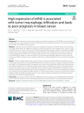 High expression of eIF4E is associated with tumor macrophage infltration and leads to poor prognosis in breast cancer