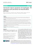 Ivermectin induces apoptosis of esophageal squamous cell carcinoma via mitochondrial pathway