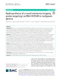 Radiosynthesis of a novel antisense imaging probe targeting LncRNA HOTAIR in malignant glioma