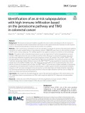 Identification of an at-risk subpopulation with high immune infiltration based on the peroxisome pathway and TIM3 in colorectal cancer