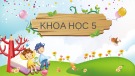 Bài giảng môn Khoa học lớp 5 năm học 2021-2022: Năng lượng mặt trời, năng lượng gió và năng lượng nước chảy - Tiết 2 (Trường Tiểu học Thạch Bàn B)