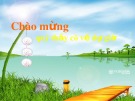 Bài giảng môn Tiếng Việt lớp 3 năm học 2020-2021 - Tuần 26: Chính tả Rước đèn ông sao (Trường Tiểu học Thạch Bàn B)