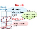 Bài giảng môn Tiếng Việt lớp 2 năm học 2020-2021 - Tuần 13: Tập viết Chữ hoa L (Trường Tiểu học Thạch Bàn B)