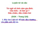 Bài giảng môn Tiếng Việt lớp 2 năm học 2020-2021 - Tuần 14: Luyện từ và câu Từ ngữ về tình cảm gia đình. Câu kiểu: Ai làm gì? Dấu chấm, dấu chấm hỏi (Trường Tiểu học Thạch Bàn B)