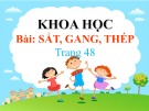 Bài giảng môn Khoa học lớp 5 năm học 2021-2022 - Bài 23: Sắt, gang, thép (Trường Tiểu học Thạch Bàn B)