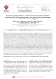 Microfossil assemblages (diatoms, calcareous nannofossils, and silicoflagellates), paleoenvironment, and hydrocarbon source rock potential of the Oligocene Ruslar Formation at Karadere, Bulgaria