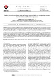 Stacked debris flows offshore Sakarya Canyon, western Black Sea: morphology, seismic characterization and formation processes