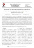 The stratigraphy of the Oligocene-lower Miocene deposits of southern Ukraine