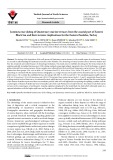 Luminescence dating of Quaternary marine terraces from the coastal part of Eastern Black Sea and their tectonic implications for the Eastern Pontides, Turkey