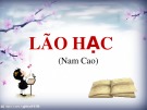 Bài giảng môn Ngữ văn lớp 8 - Bài 4: Lão Hạc