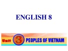 Bài giảng môn Tiếng Anh lớp 8 - Unit 3: Peoples of Viet Nam (Looking back & Project)