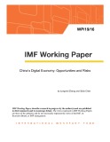 China’s Digital Economy: Opportunities and Risks