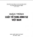 Giáo trình Luật Tố tụng hình sự Việt Nam: Phần 2