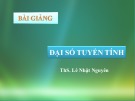 Bài giảng Đại số tuyến tính: Chương 1 - ThS. Lê Nhật Nguyên