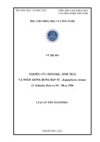 Luận án Tiến sĩ Sinh học: Nghiên cứu sinh học, sinh thái và nhân giống rong Bắp sú – Kappaphycus striatus (F. Schmitz) Doty ex P. C. Silva, 1996