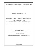 Doctor of philosophy in mathematics: Shortest paths along a sequence of line segments and connected orthogonal convex hulls