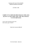 Tóm tắt Luận án Tiến sĩ: Nghiên cứu sự biến đổi hình thái đáy sông Soài Rạp do các hoạt động trực tiếp thay đổi đáy và nước biển dâng