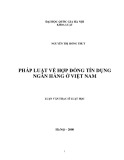 Luận văn Thạc sĩ Luật học: Pháp luật về hợp đồng tín dụng ngân hàng ở Việt Nam