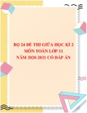 Bộ 24 đề thi giữa học kì 2 môn Toán lớp 11 năm 2020-2021 có đáp án