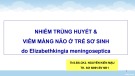 Bài giảng Nhiễm trùng huyết & viêm màng não ở trẻ sơ sinh do Elizabethkingia meningoseptica - ThS.BS.CK2. Nguyễn Kiến Mậu