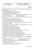 Đề thi giữa học kì 2 môn Lịch sử lớp 12 năm 2020-2021 - Trường THPT Thị xã Quảng Trị