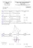 Đề khảo sát chất lượng môn Toán năm 2020-2021 - Sở GD&ĐT Nghệ An - Mã đề 123