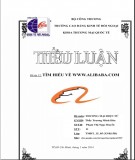 Tiểu luận Thương mại điện tử: Tìm hiểu về www.Alibaba.com