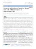 Distinctive epigenomes characterize glioma stem cells and their response to differentiation cues