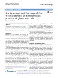 A unique epigenomic landscape defines the characteristics and differentiation potentials of glioma stem cells