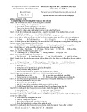 Đề thi học kì 2 môn Lịch sử lớp 10 năm 2020-2021 có đáp án - Trường THPT Lạc Long Quân