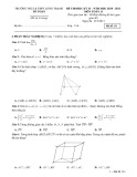 Đề thi học kì 2 môn Toán lớp 11 năm 2020-2021 có đáp án - Trường THCS&THPT Long Thạnh