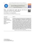 Minh giải số liệu khai thác thử giếng khí có hàm lượng CO2 cao trong tầng chứa đá vôi bể Sông Hồng