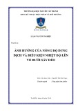 Khóa luận tốt nghiệp: Ảnh hưởng của nồng độ dung dịch và điều kiện nhiệt độ lên vỏ Bưởi sấy dẻo