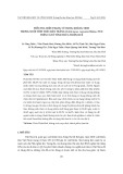 Điều tra hiện trạng sử dụng kháng sinh trong nuôi tôm thẻ chân trắng (Litopenaeus vannamei Boone, 1931) trên cát ở tỉnh Thừa Thiên Huế