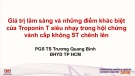 Bài giảng Giá trị lâm sàng và những điểm khác biệt của Troponin T siêu nhạy trong hội chứng vành cấp không ST chênh lên - PGS. TS. Trương Quang Bình