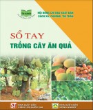 Tìm hiểu kỹ thuật trồng cây ăn quả: Phần 1