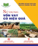 Một số phương pháp sử dụng vốn vay có hiệu quả: Phần 1