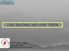 Bài giảng Tắc đường hô hấp trên