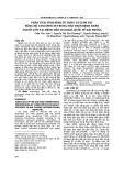 Phân tích tình hình sử dụng và giám sát nồng độ vancomycin trong máu trên bệnh nhân người lớn tại  Bệnh viện Đa khoa Quốc tế Hải Phòng