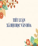 Tiểu luận Xã hội học văn hóa: Hành vi lễ chùa của người dân nội thành Hà Nội hiện nay (Khảo sát tại địa bàn nội thành Hà Nội)