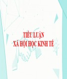 Tiểu luận Xã hội học kinh tế: Thực trạng việc làm của sinh viên sau khi tốt nghiệp hiện nay (Nghiên cứu trường hợp sinh viên Học Viện Báo Chí và Tuyên Truyền)