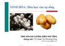 Bài giảng Sinh hóa - Chương 1: Hóa học của sự sống