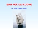 Bài giảng Sinh học đại cương - Chương 1: Cơ sở hóa học của sự sống